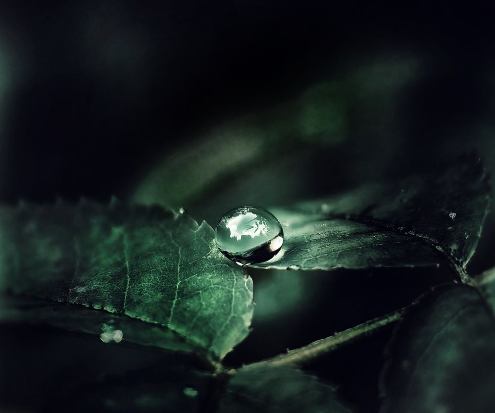 Photograph by Ярославна