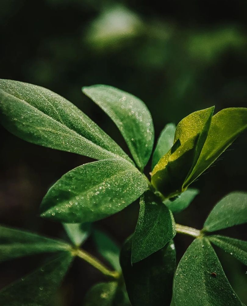 Photograph by Татьяна Радченко