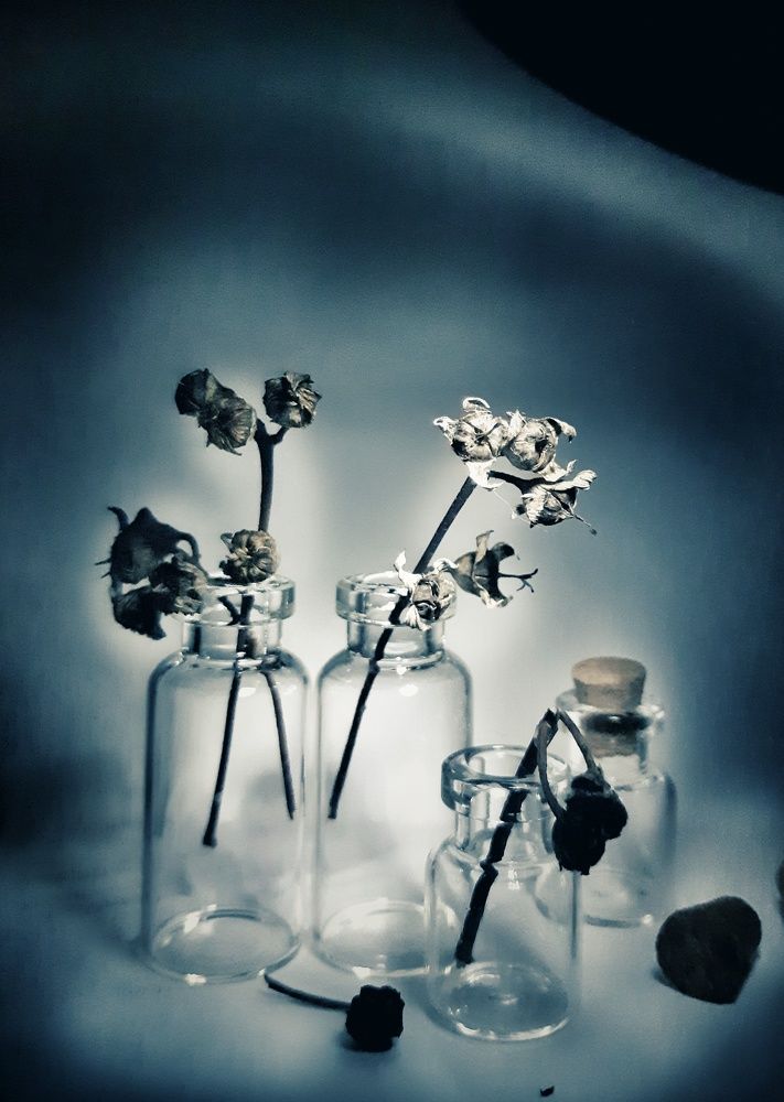 Photograph by Ольга Хромова