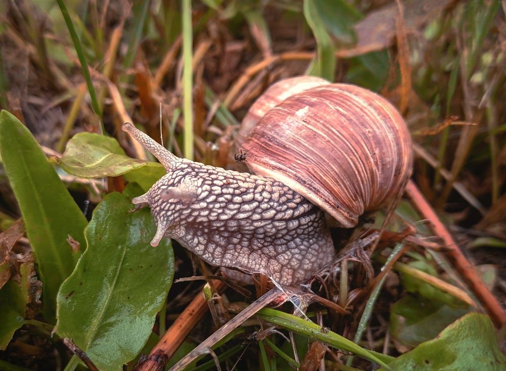 Фотография автора Андрей Москвичев