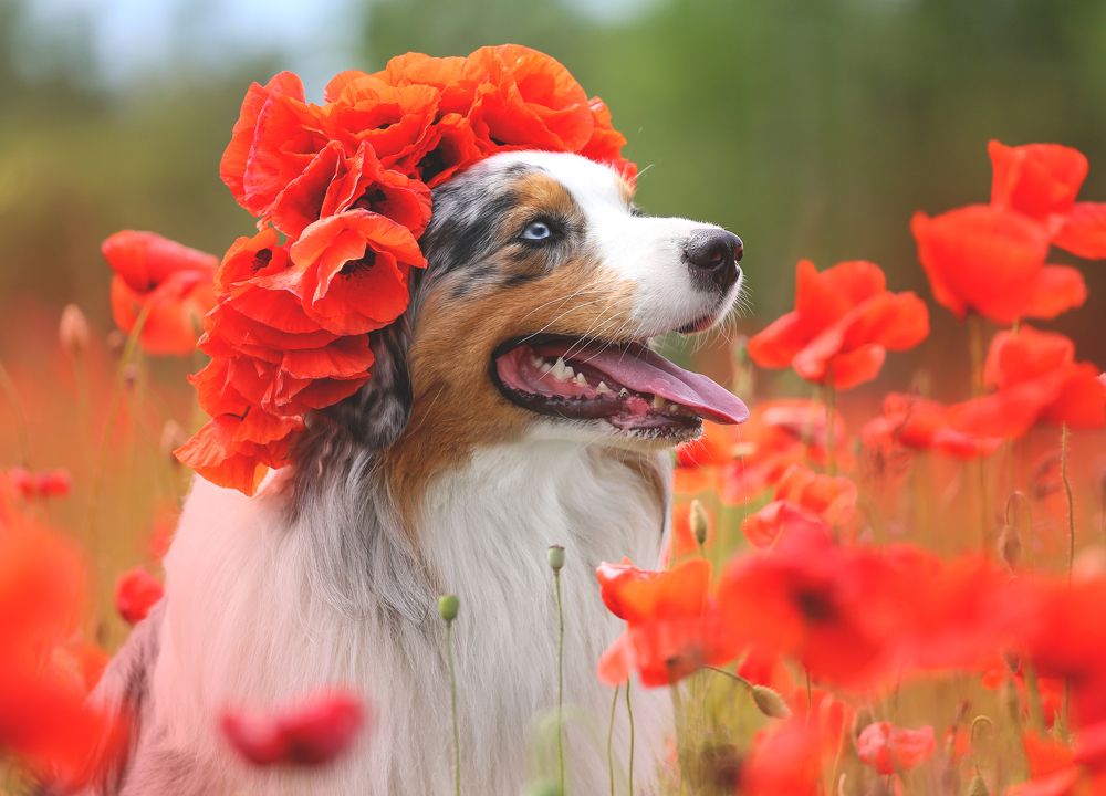 Photograph by Татьяна Сагарева