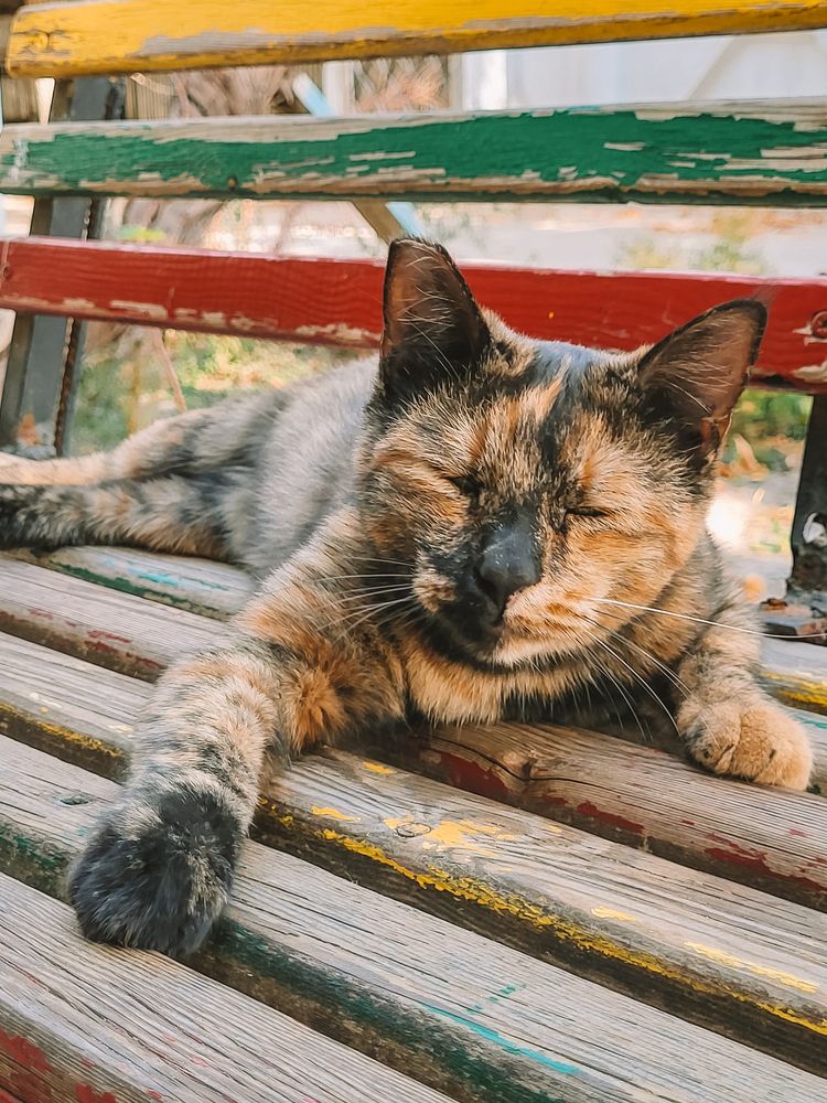 Photograph by Elizabeth Kabatskova