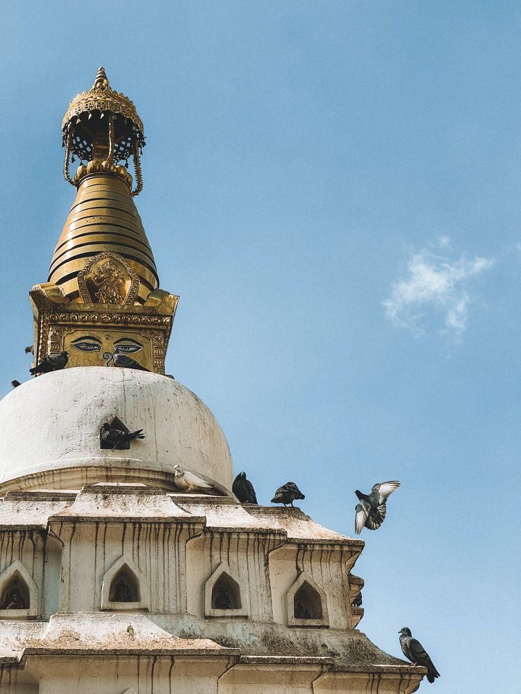 Photograph by Marina Zvada