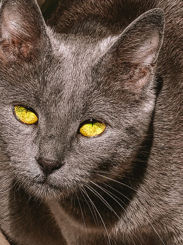 Photograph by Elizabeth Kabatskova