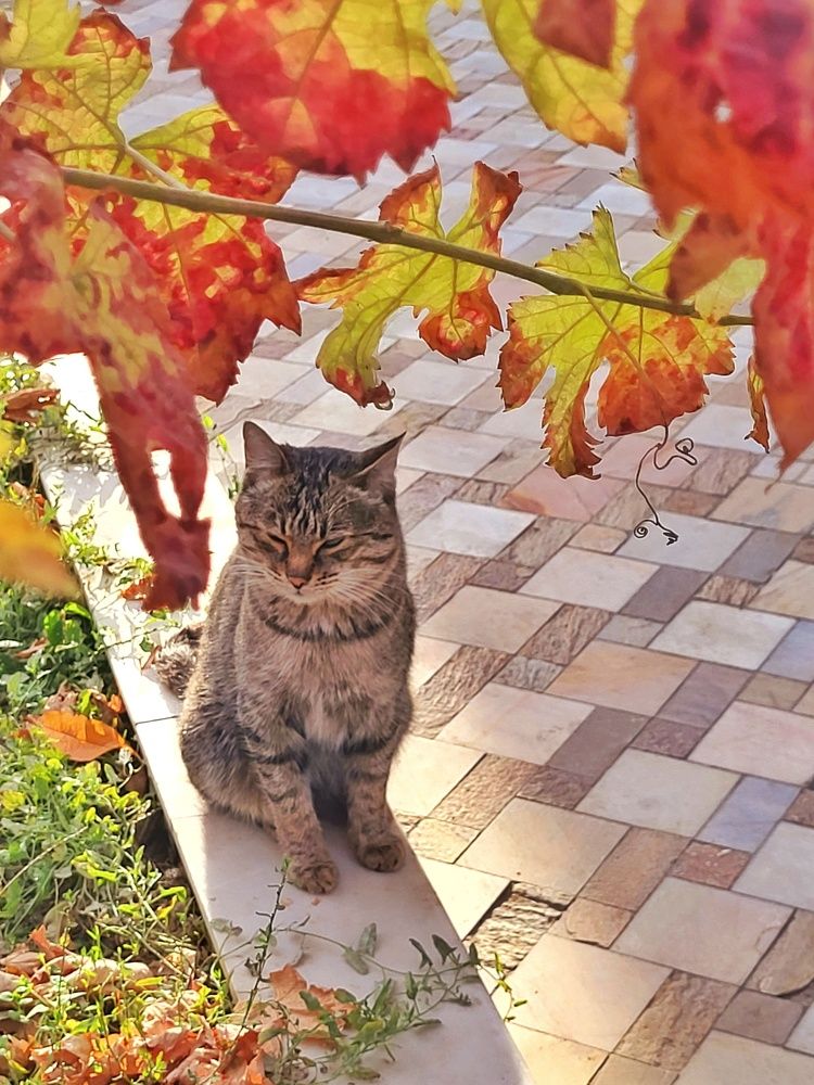 Photograph by Elizabeth Kabatskova