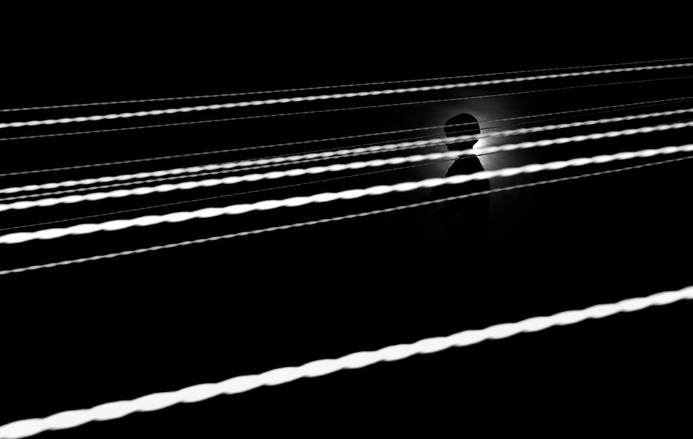 Фотография автора Neslihan Taylan Tülbentci