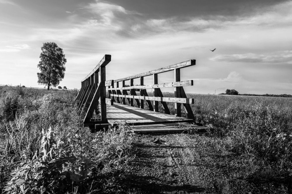 Фотография автора Александр Буренко