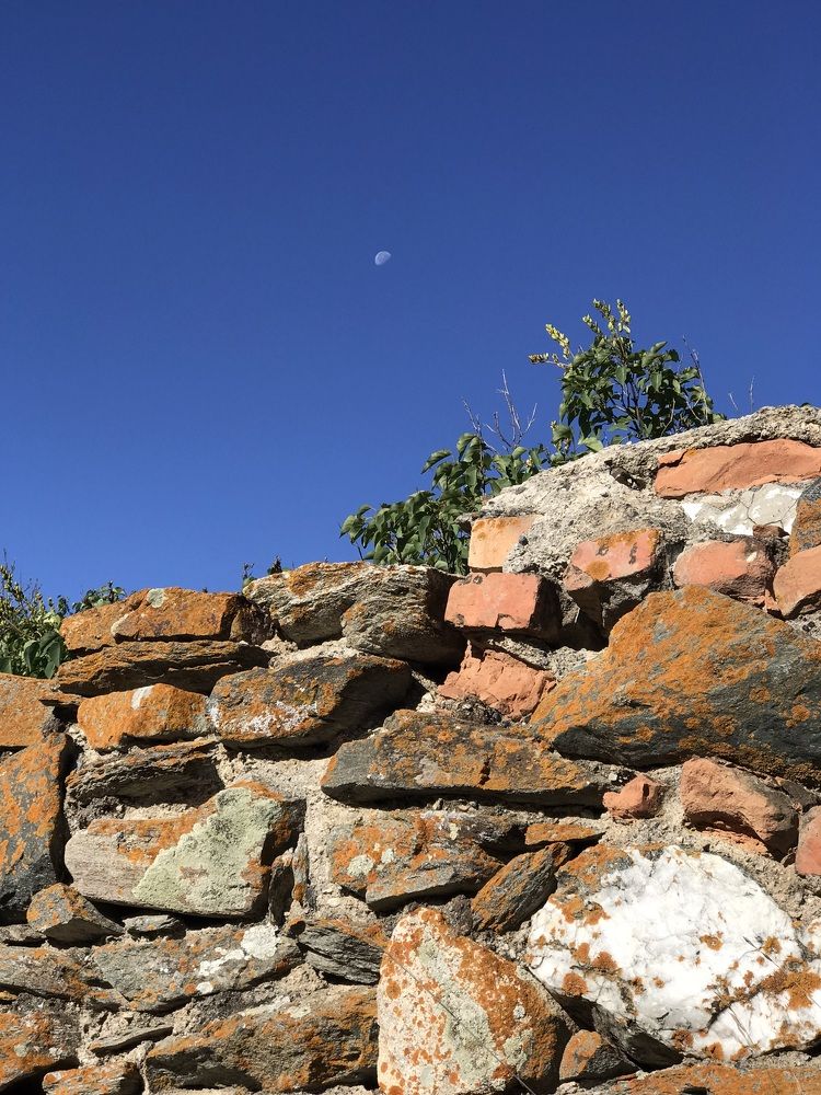 Photograph by Max Karpovich