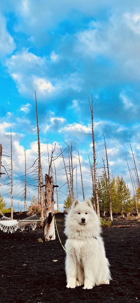Фотография автора Вячеслав