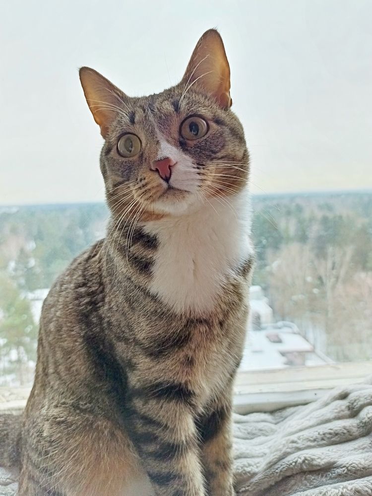 Фотография автора Андрей Занкович