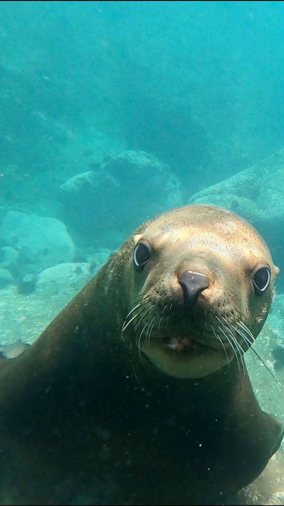 Фотография автора Вячеслав