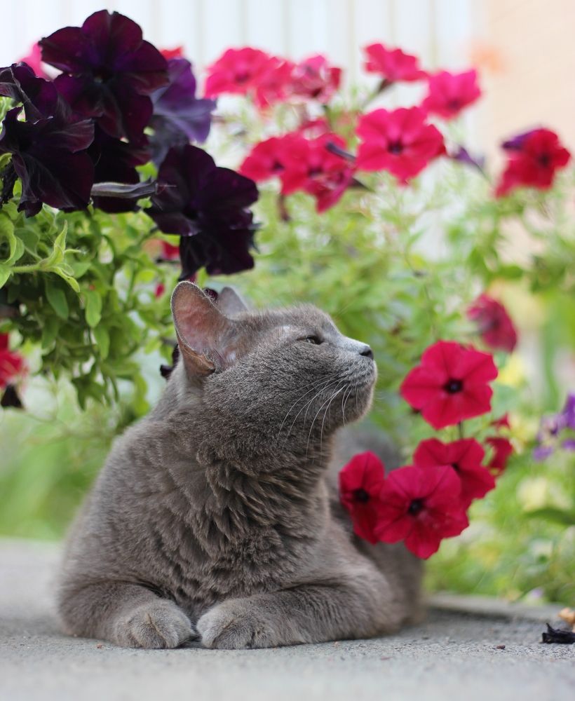 Photograph by Мария Мельникова