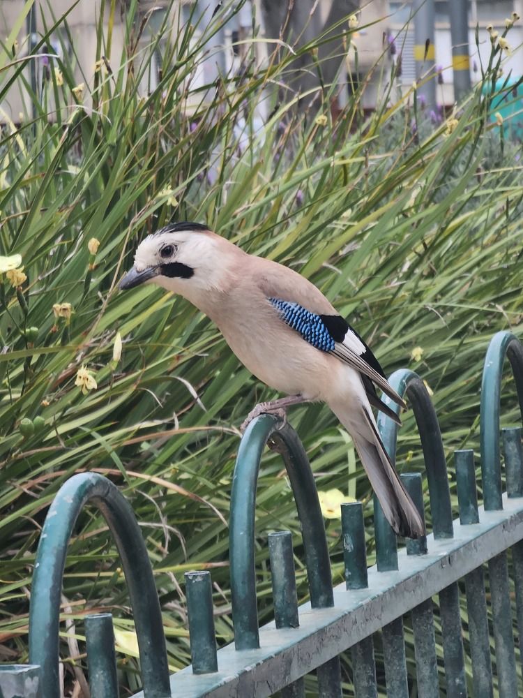 Фотография автора Oksana Podgorodetska