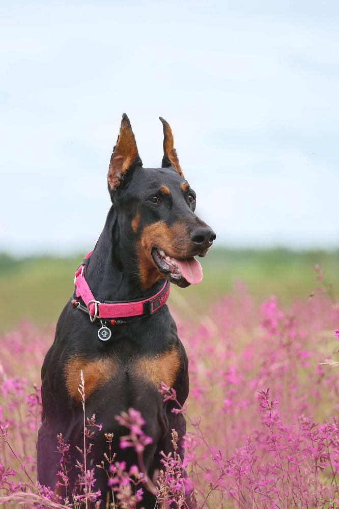 Photograph by Татьяна Сагарева