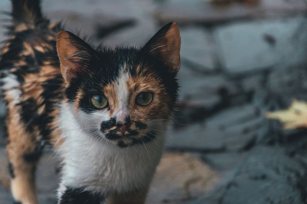 Photograph by Татьяна