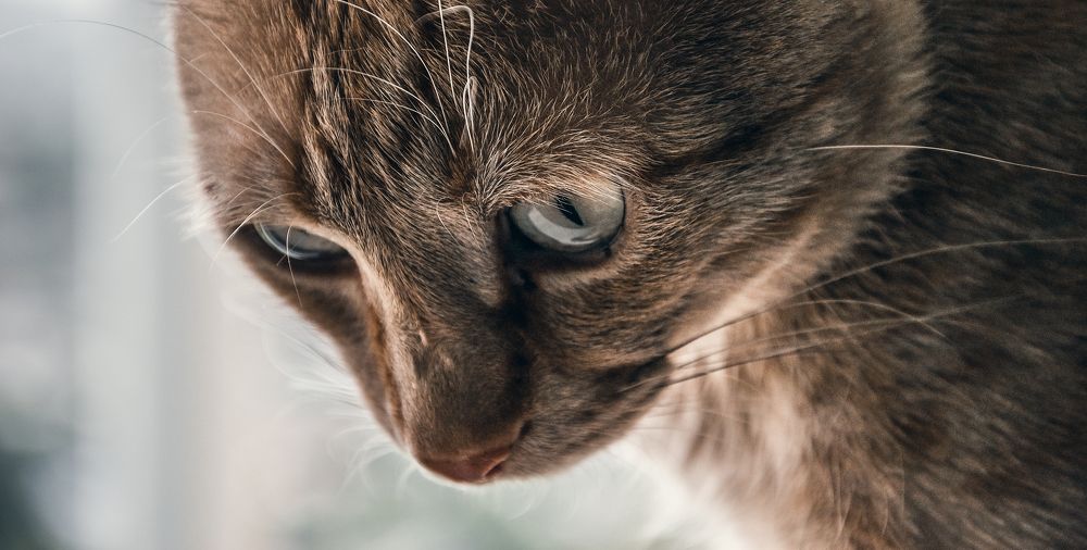 Photograph by Татьяна