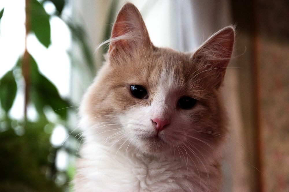 Photograph by Татьяна