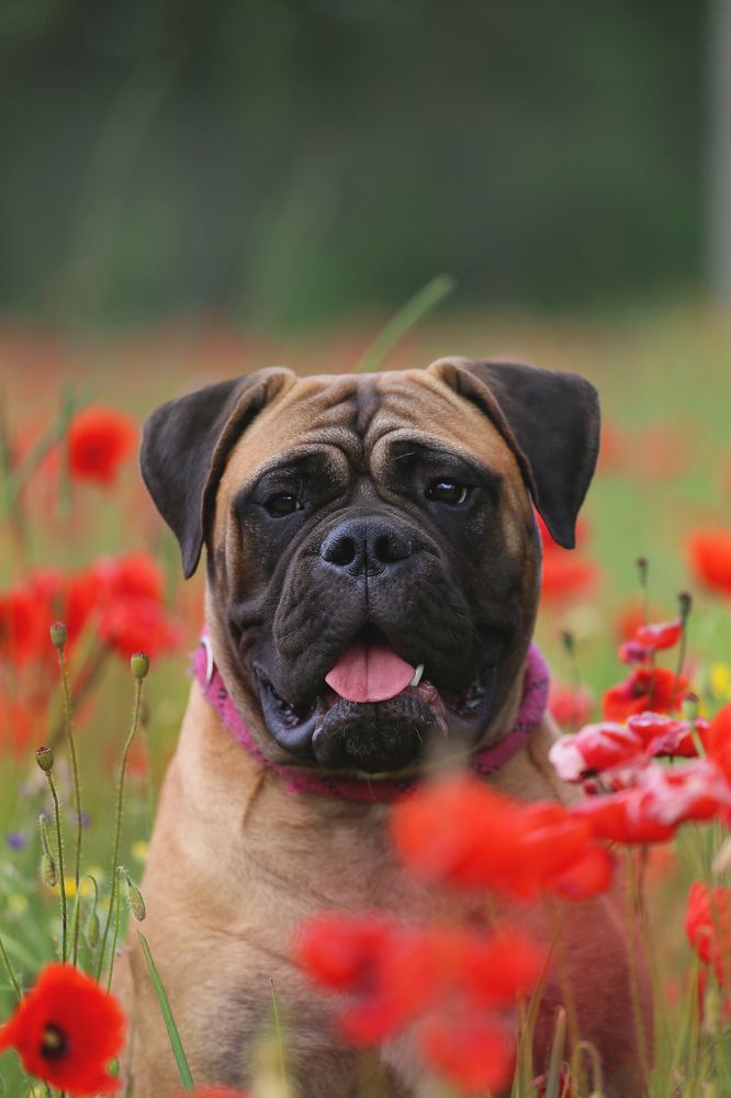 Photograph by Татьяна Сагарева