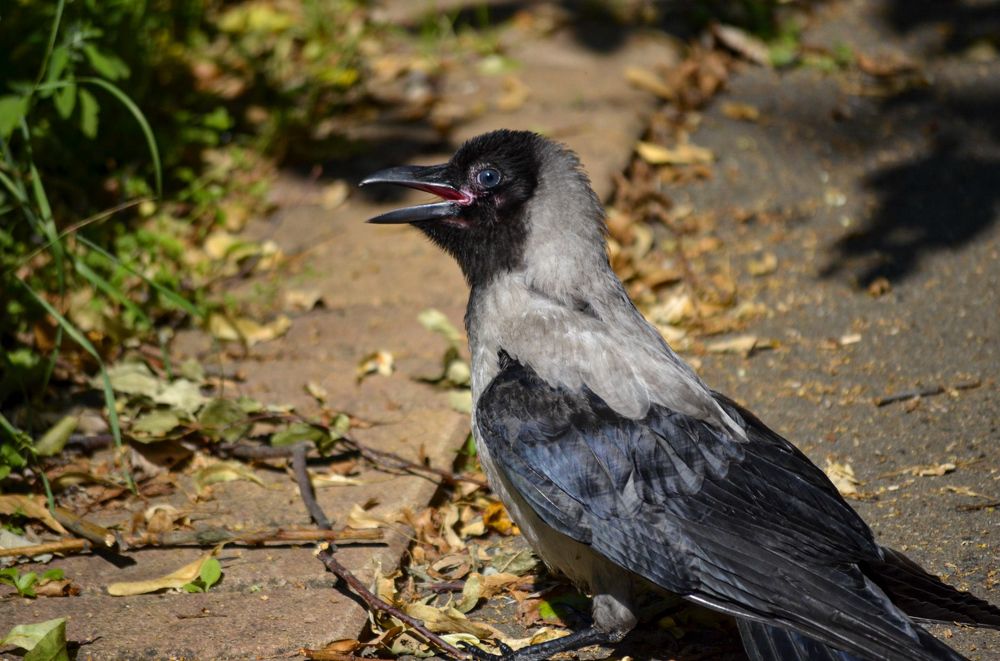 Photograph by Дарья Маркина