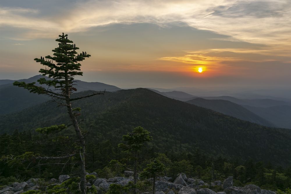 Photograph by ALEKSANDR KUZNETSOV