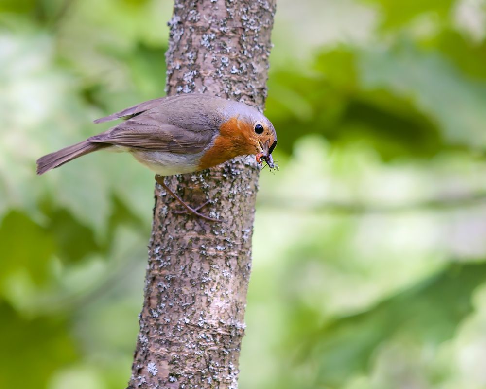 Photograph by Мария Кольцова