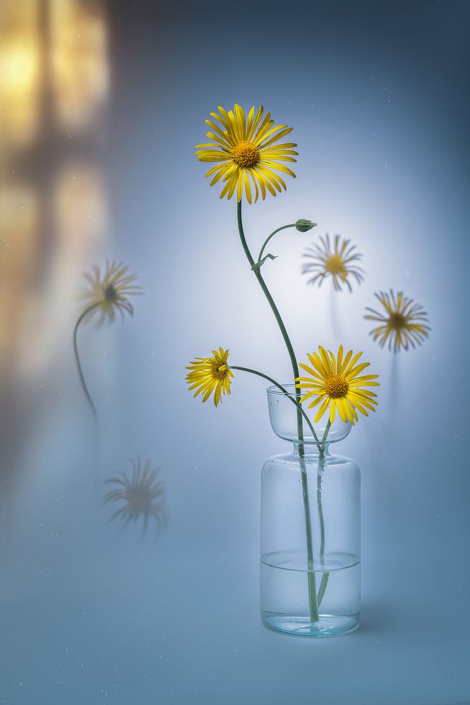 Photograph by Ольга Яр