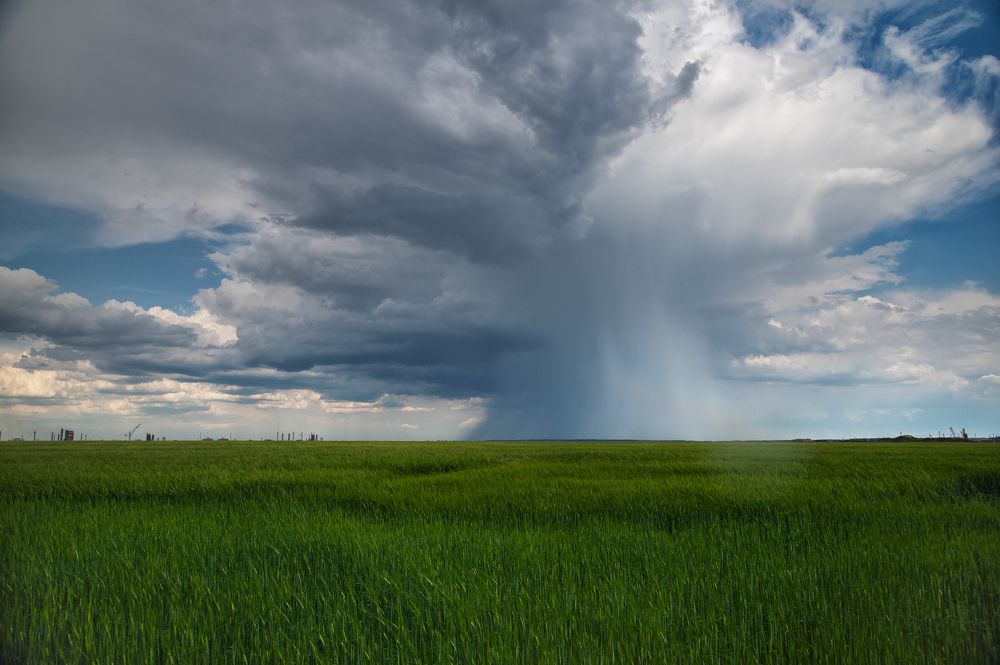 Photograph by Роман Князев