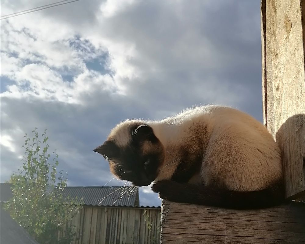 Photograph by Татьяна Бешенкина