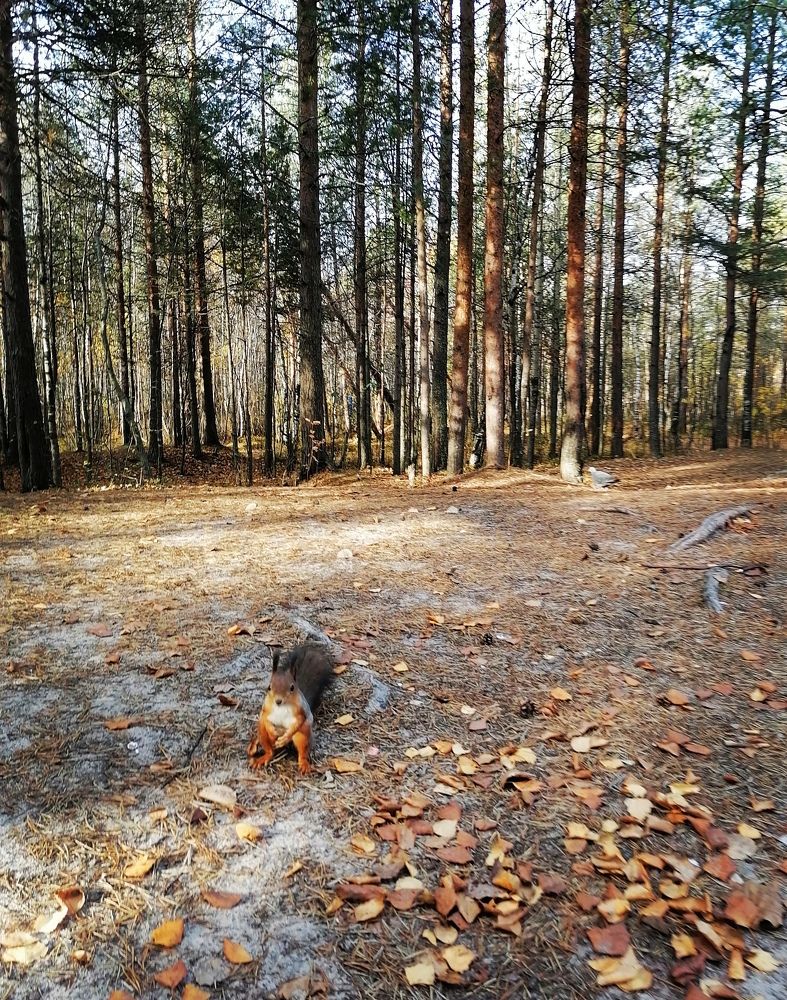 Photograph by Татьяна Бешенкина