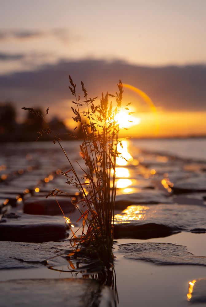 Photograph by Lev Kaufman