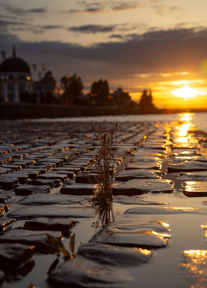 Photograph by Lev Kaufman