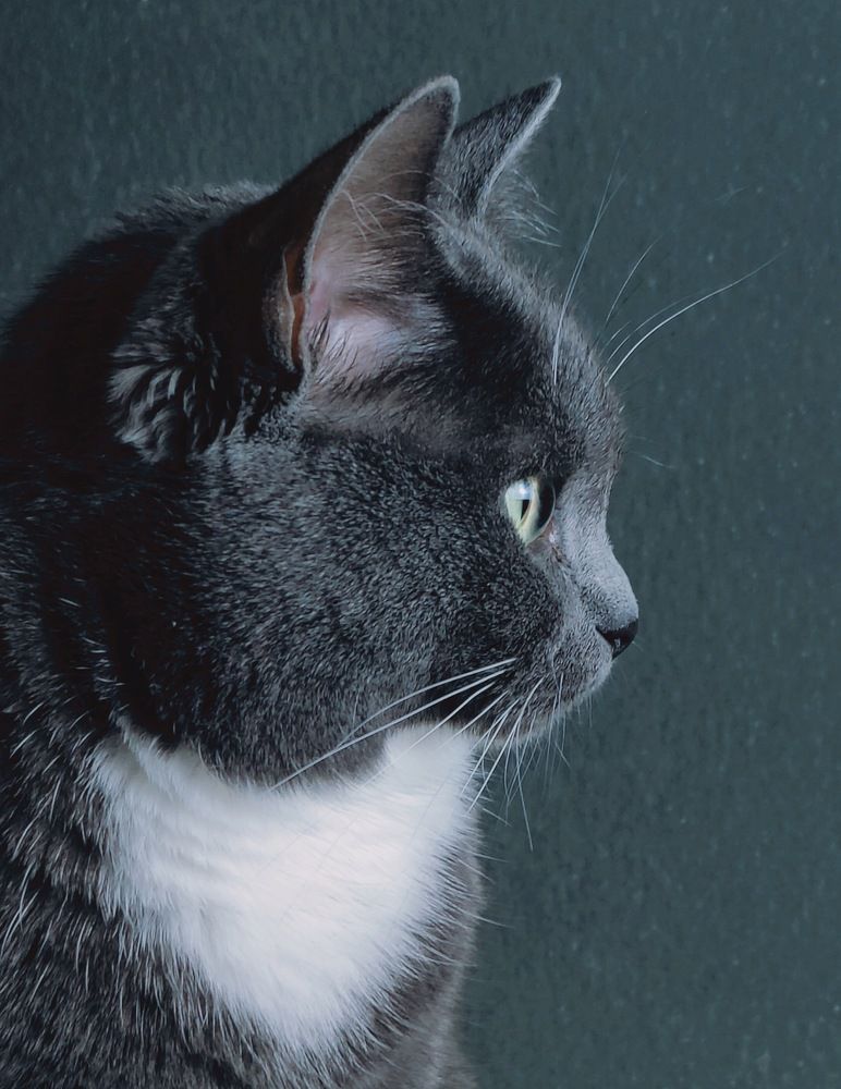 Photograph by Татьяна Гулакова