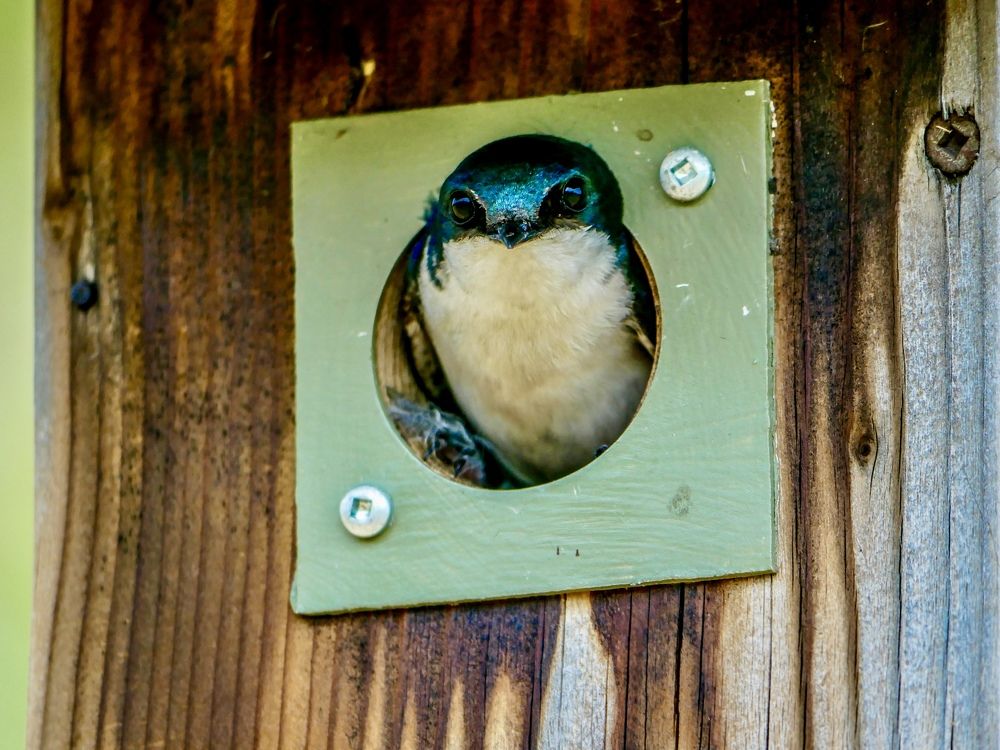 Photograph by Annie Trudel