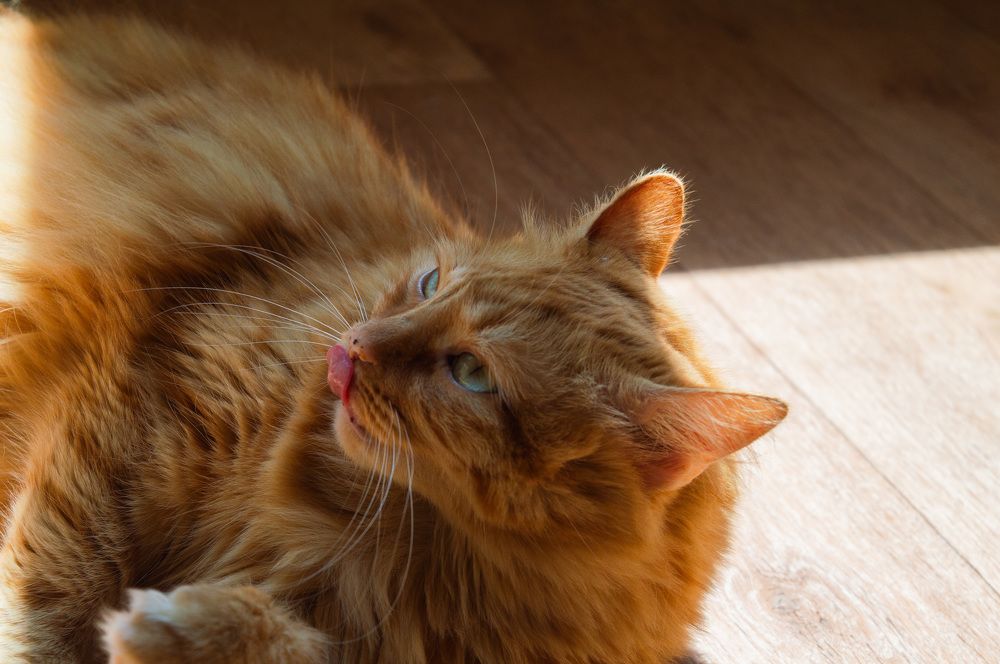 Photograph by Сафонцев Георгий