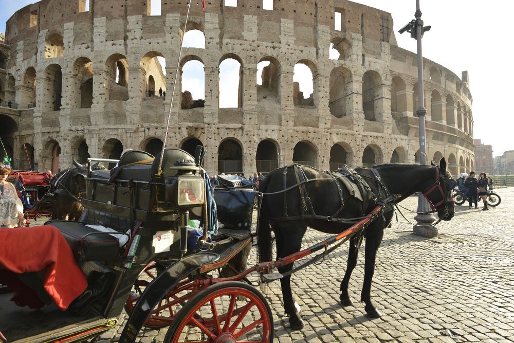 Рим.Коллизей