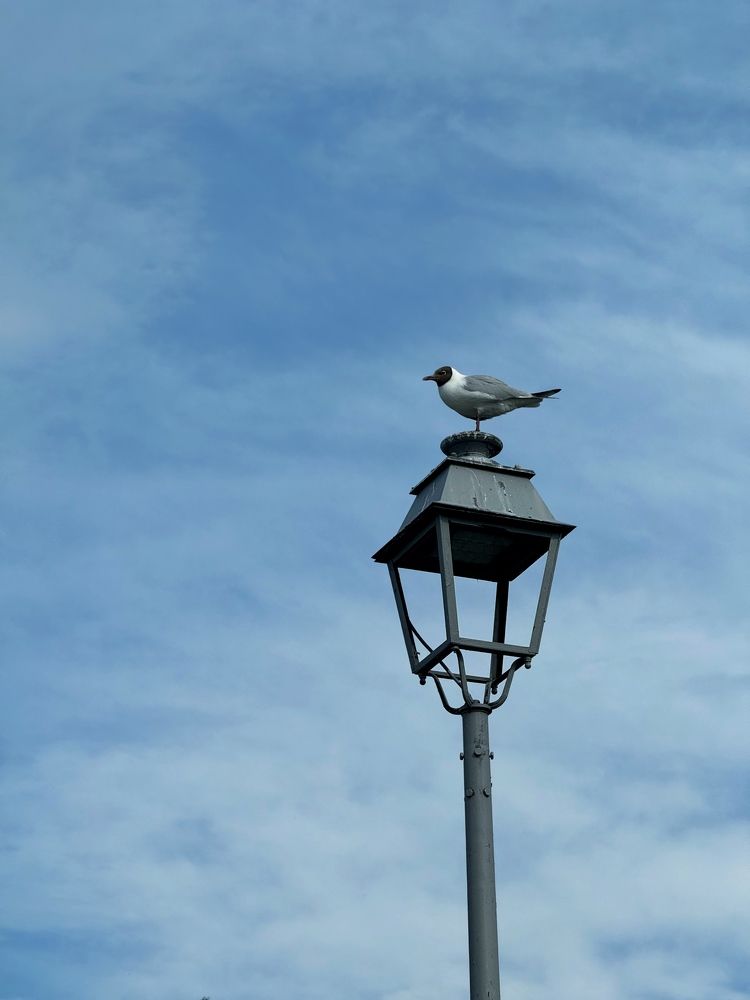 Фотография автора Кирилл Литовский