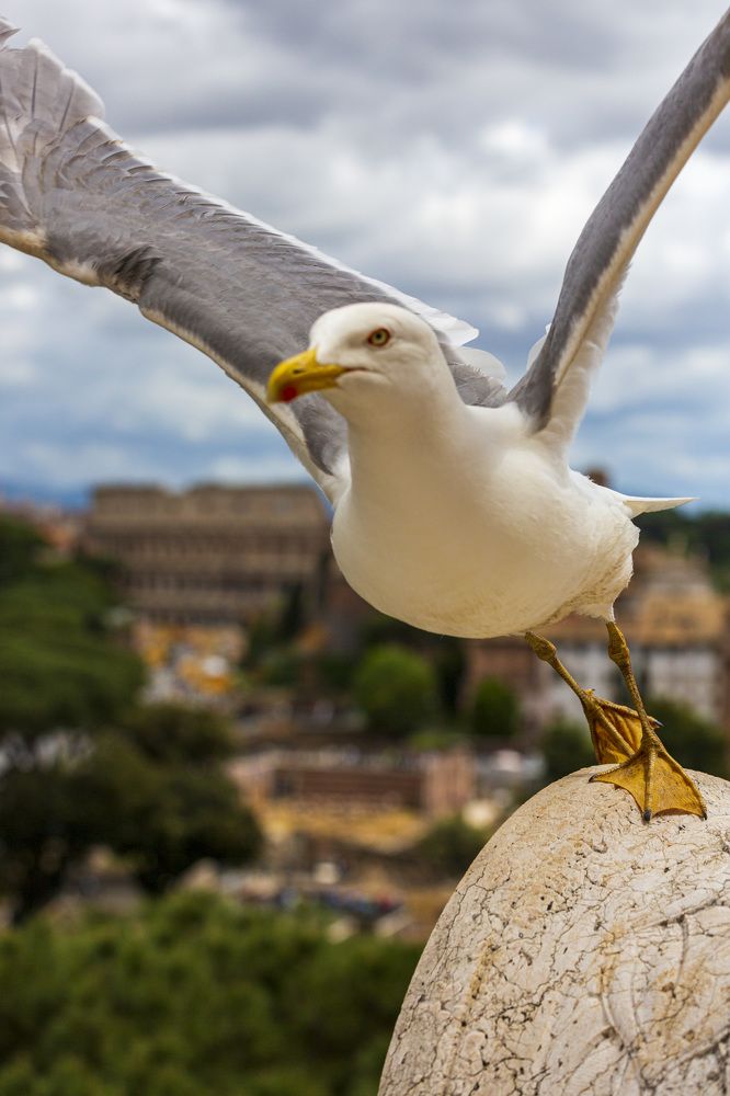 Photograph by Евгений Цапенко