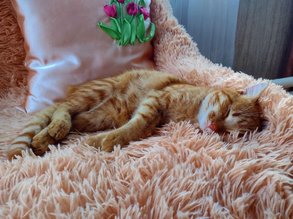 Photograph by Николай Абакумов