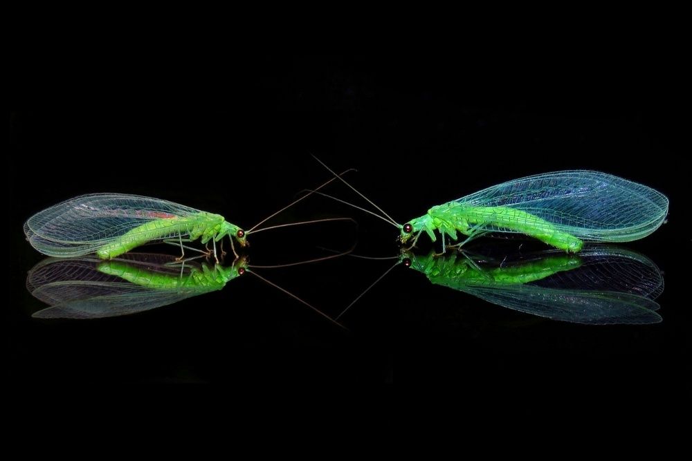 Photograph by Amin Ghaffarian