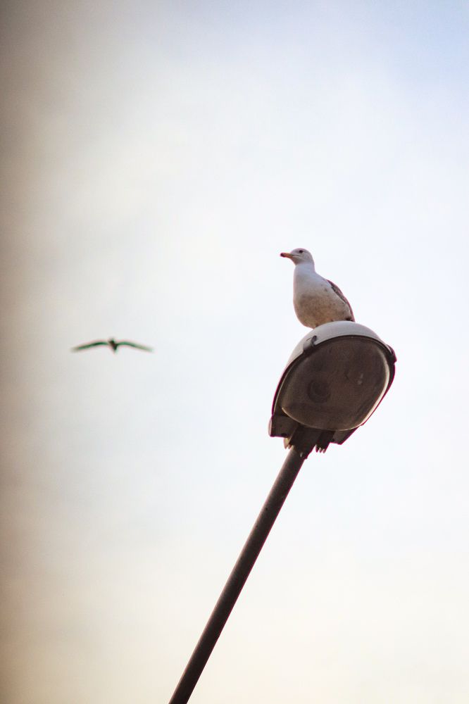 Photograph by Екатерина Нальгиева