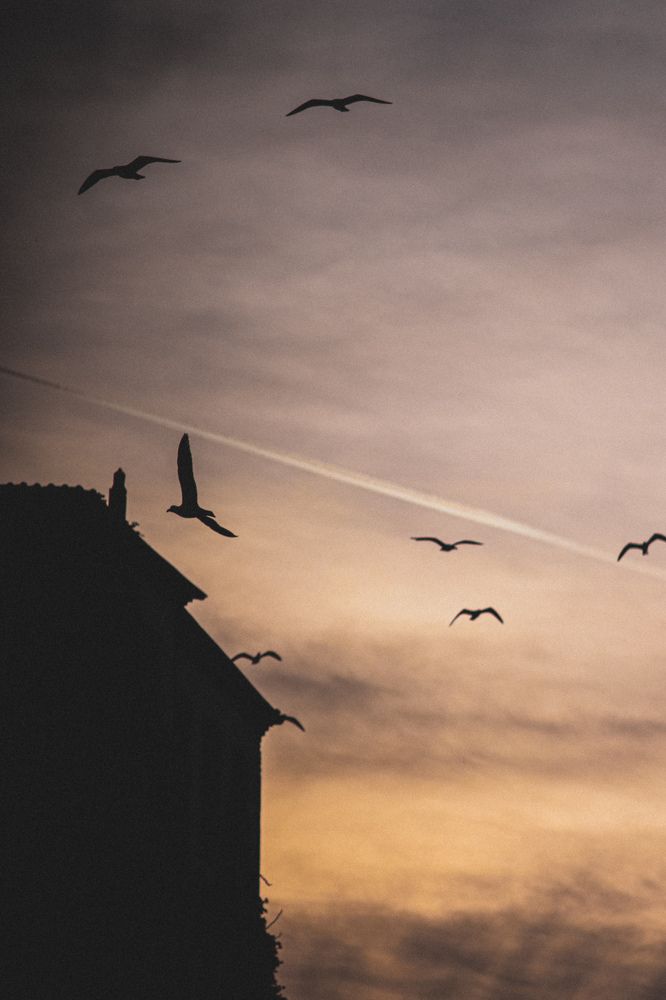 Photograph by Екатерина Нальгиева