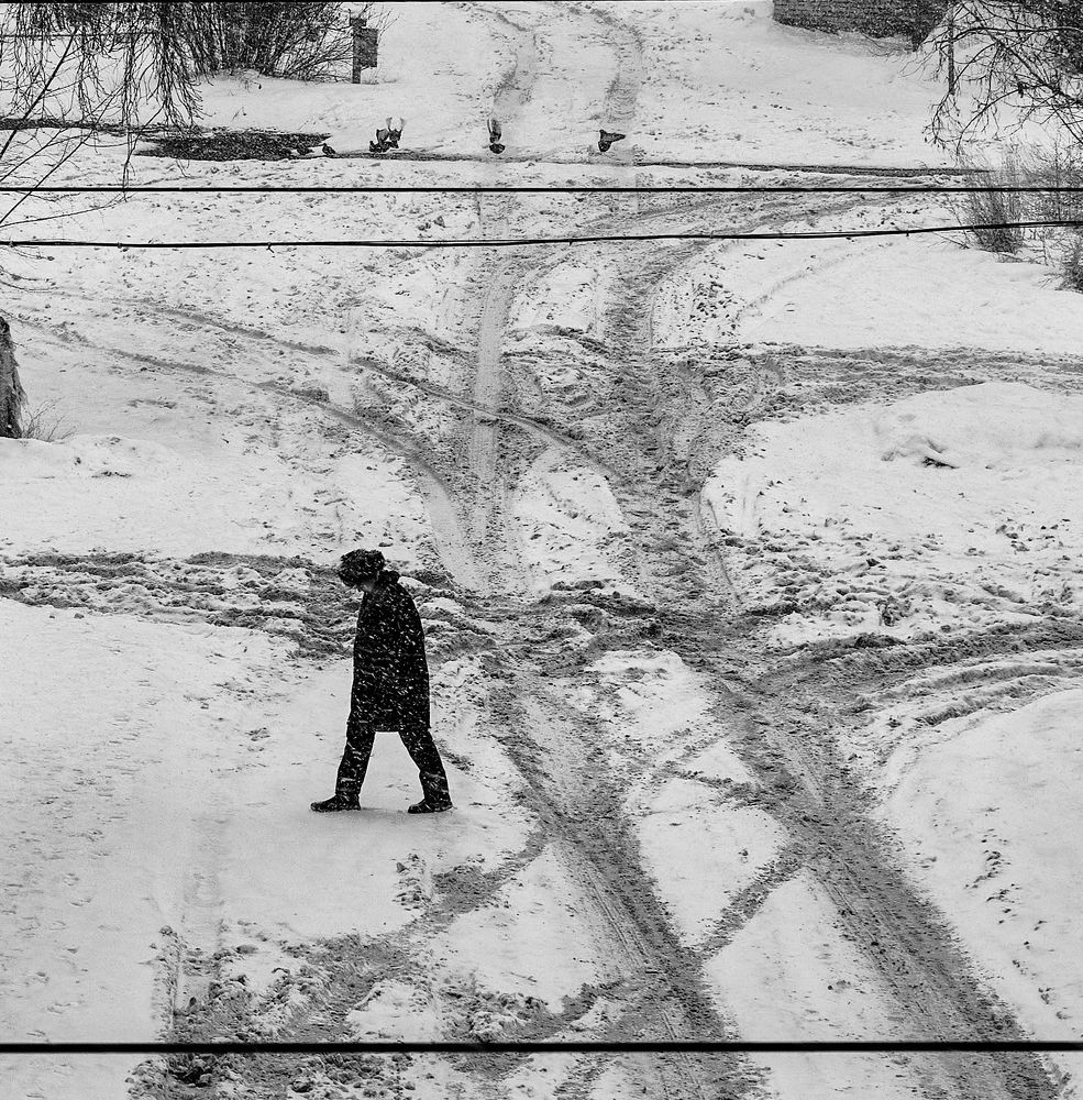 Фотография автора Наталья Новикова