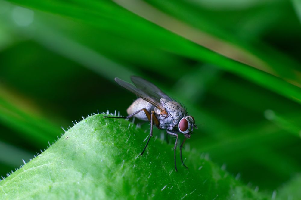 Photograph by Максим Захаров