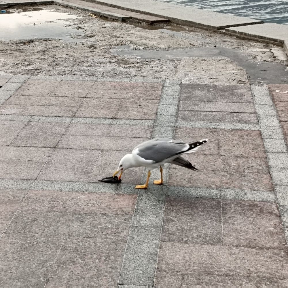 Photograph by Сергей Борисов