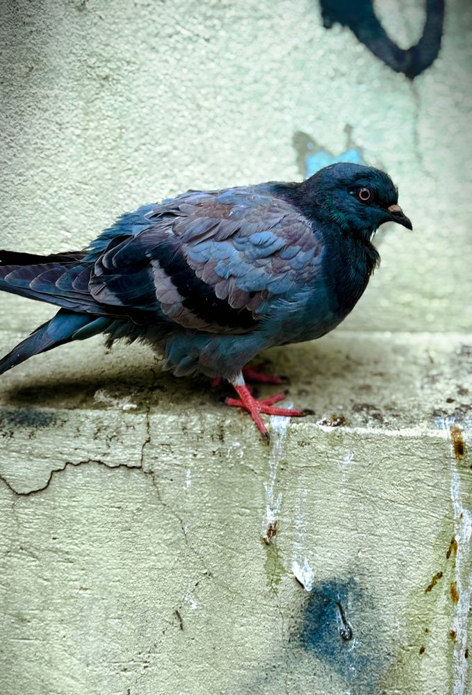 Photograph by Siarhei Saladukhin