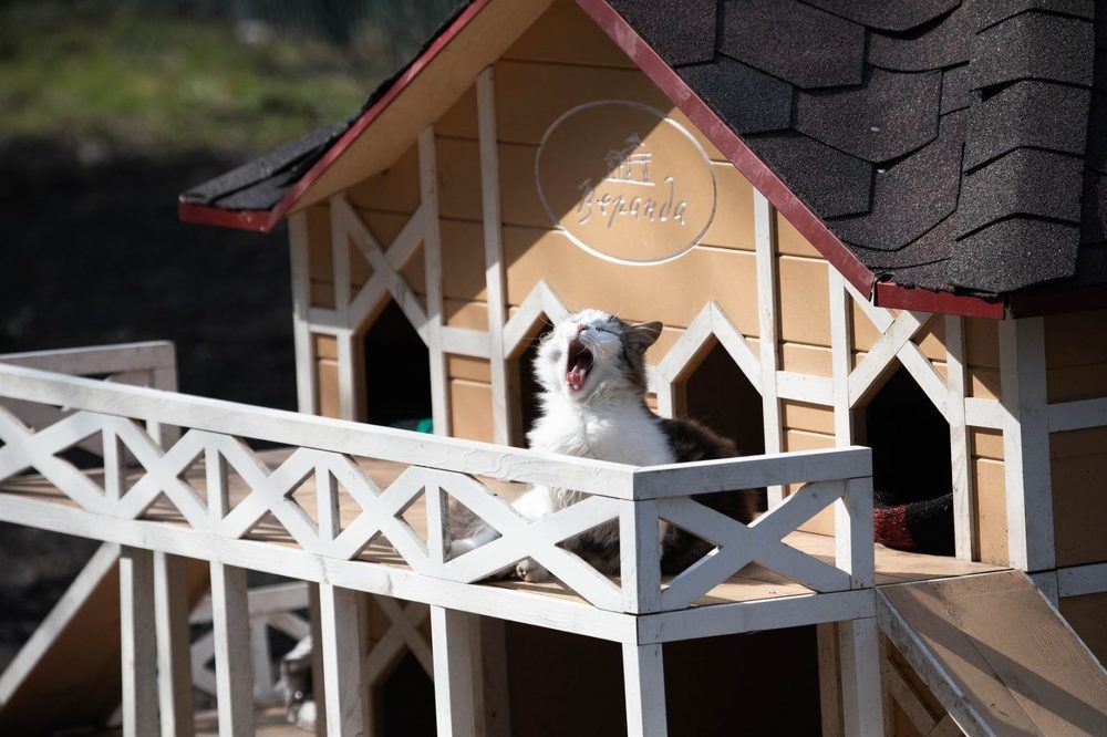 Photograph by Алексей Шамашов