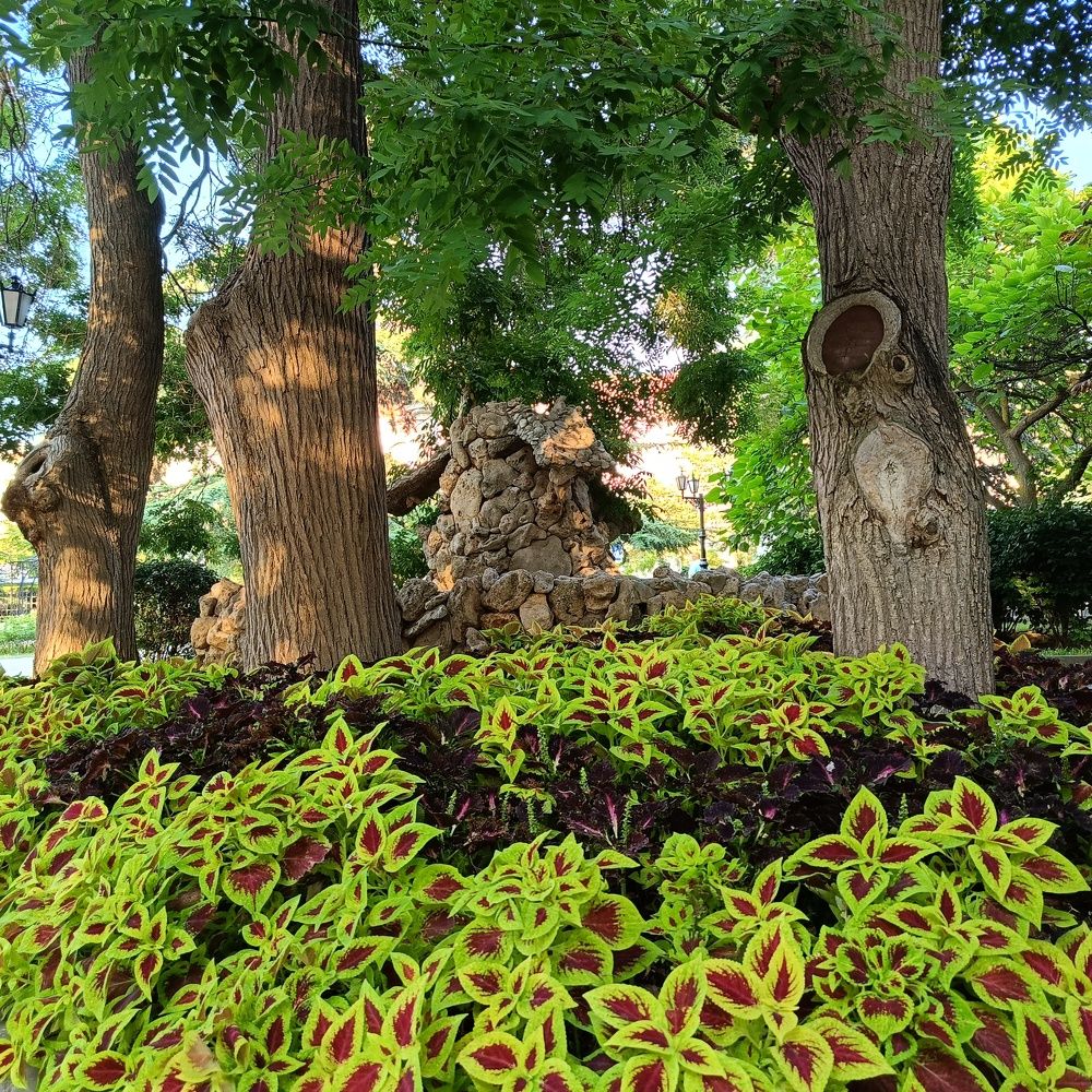 Photograph by Сергей Борисов