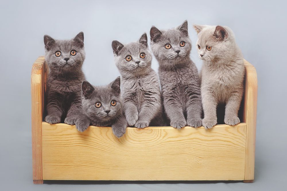 Photograph by Аден Аксинья