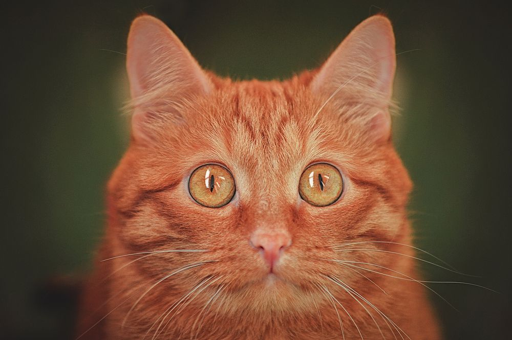 Photograph by Аден Аксинья