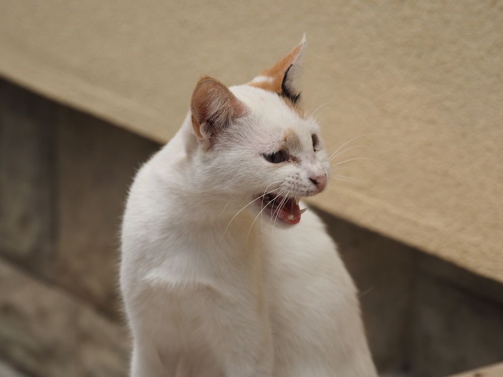 Photograph by Сергей Борисов